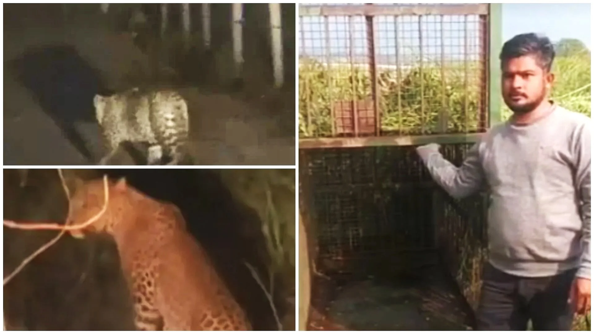 photo-collage.png (18).jpg