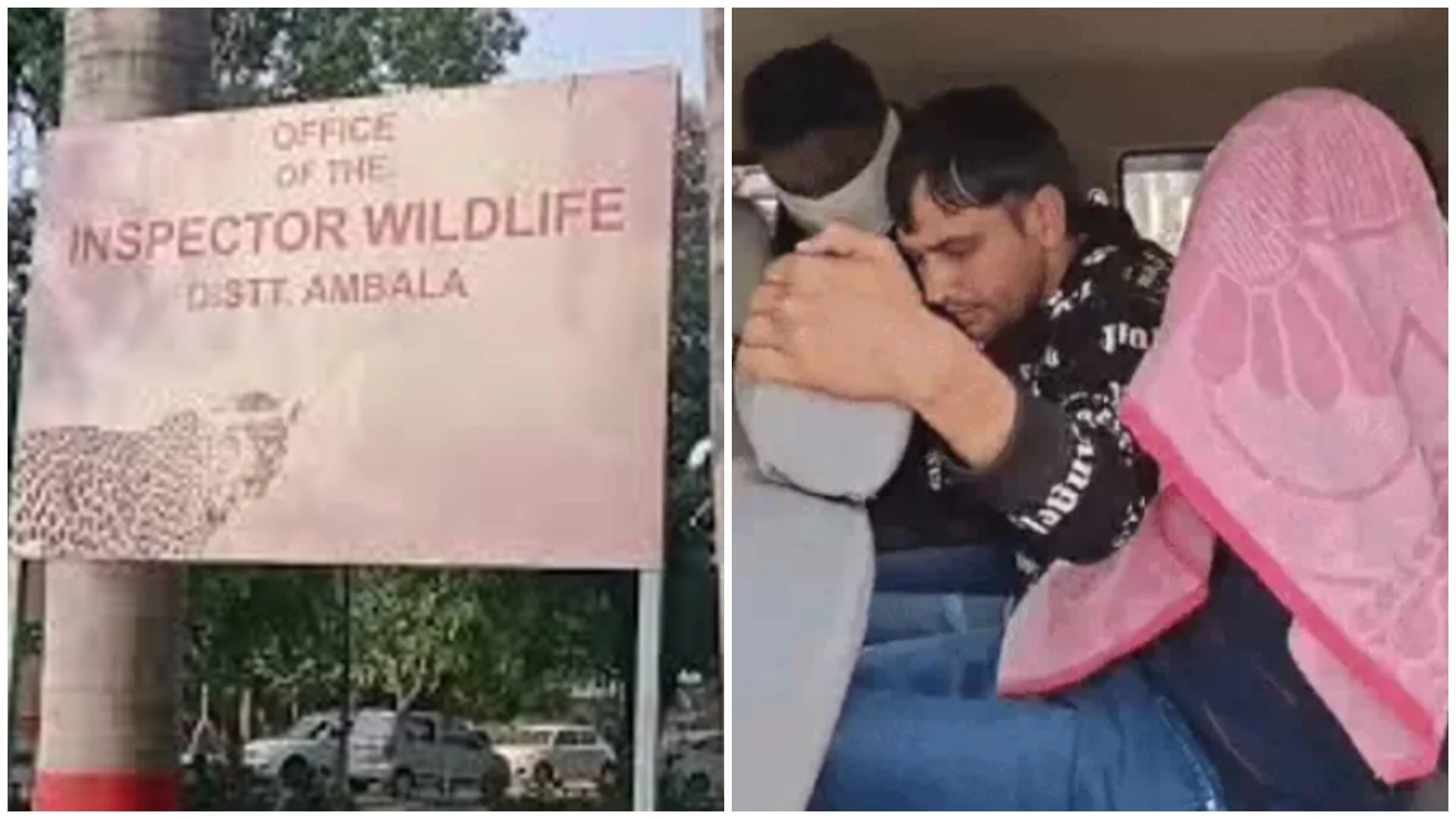 photo-collage.png (20).jpg