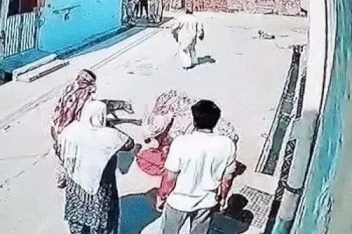 WhatsApp Image 2026-03-12 at 12.30.57 PM.jpg