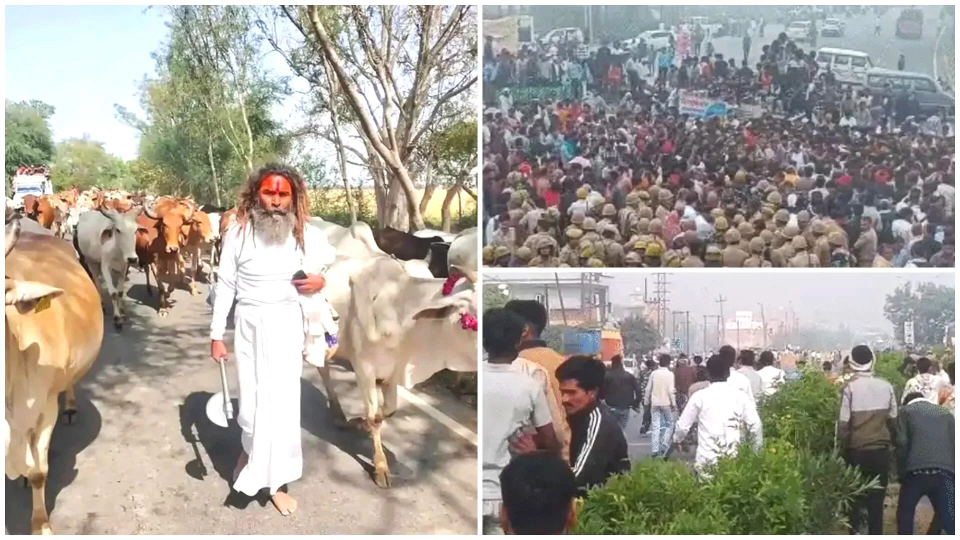 photo-collage.png (45).jpg