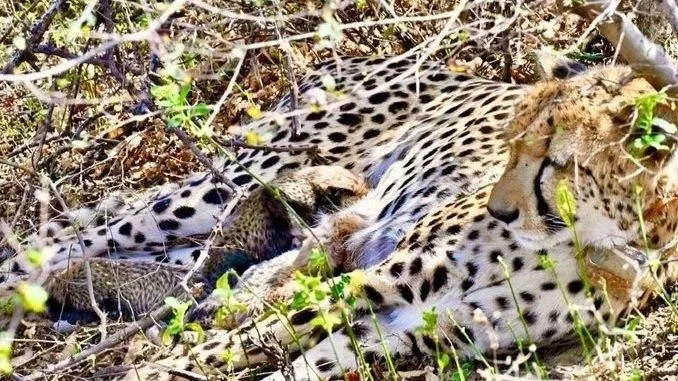 Related Video Item Thumbnail