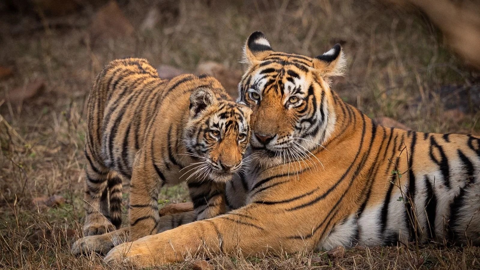 Related Video Item Thumbnail