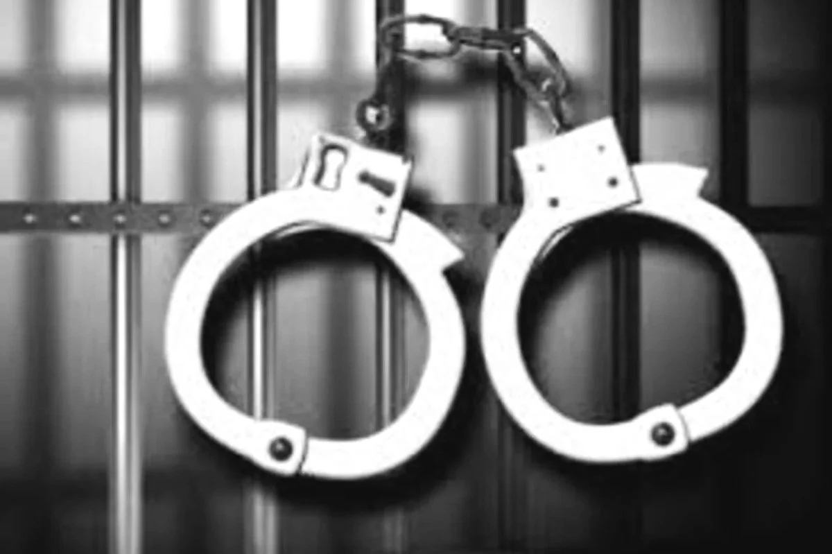 WhatsApp Image 2026-03-28 at 2.05.05 PM.jpg