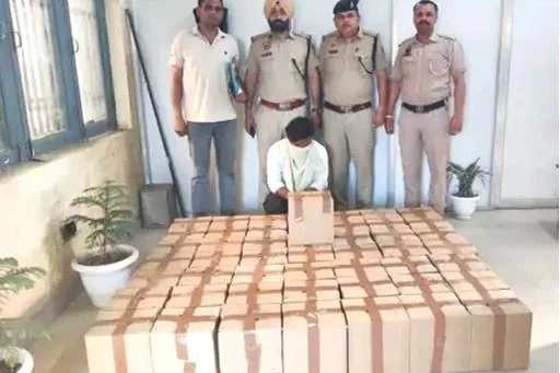 WhatsApp Image 2026-03-15 at 2.00.04 PM.jpg