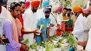 download - 2026-02-11T175037.056.jpg