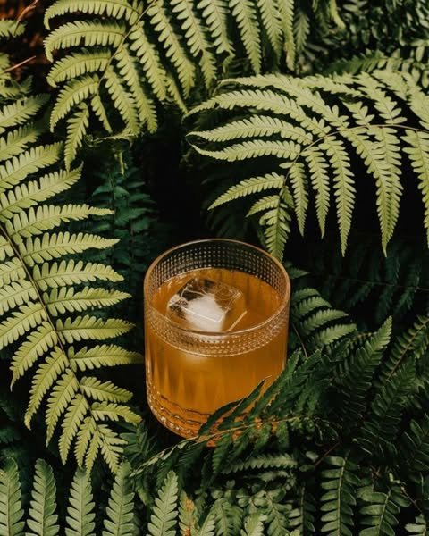 A glass of amber-colored drink with ice cubes surrounded by green fern leaves.