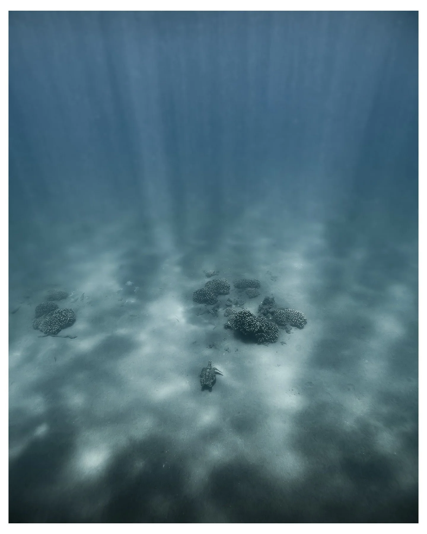 Step into the deep with me&hellip;