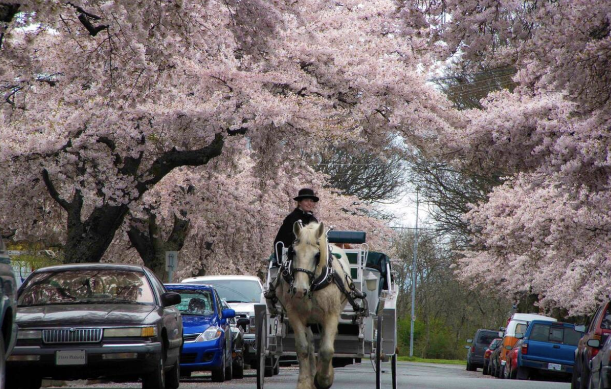 Screen Shot 2023-11-12 at 10.21.23 AM.png