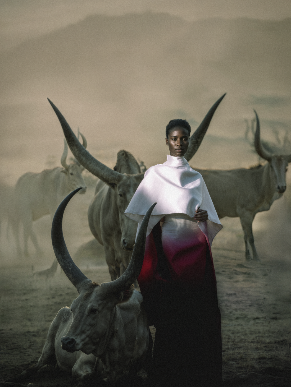 Screenshot 2025-11-22 at 12.40.49 PM.png