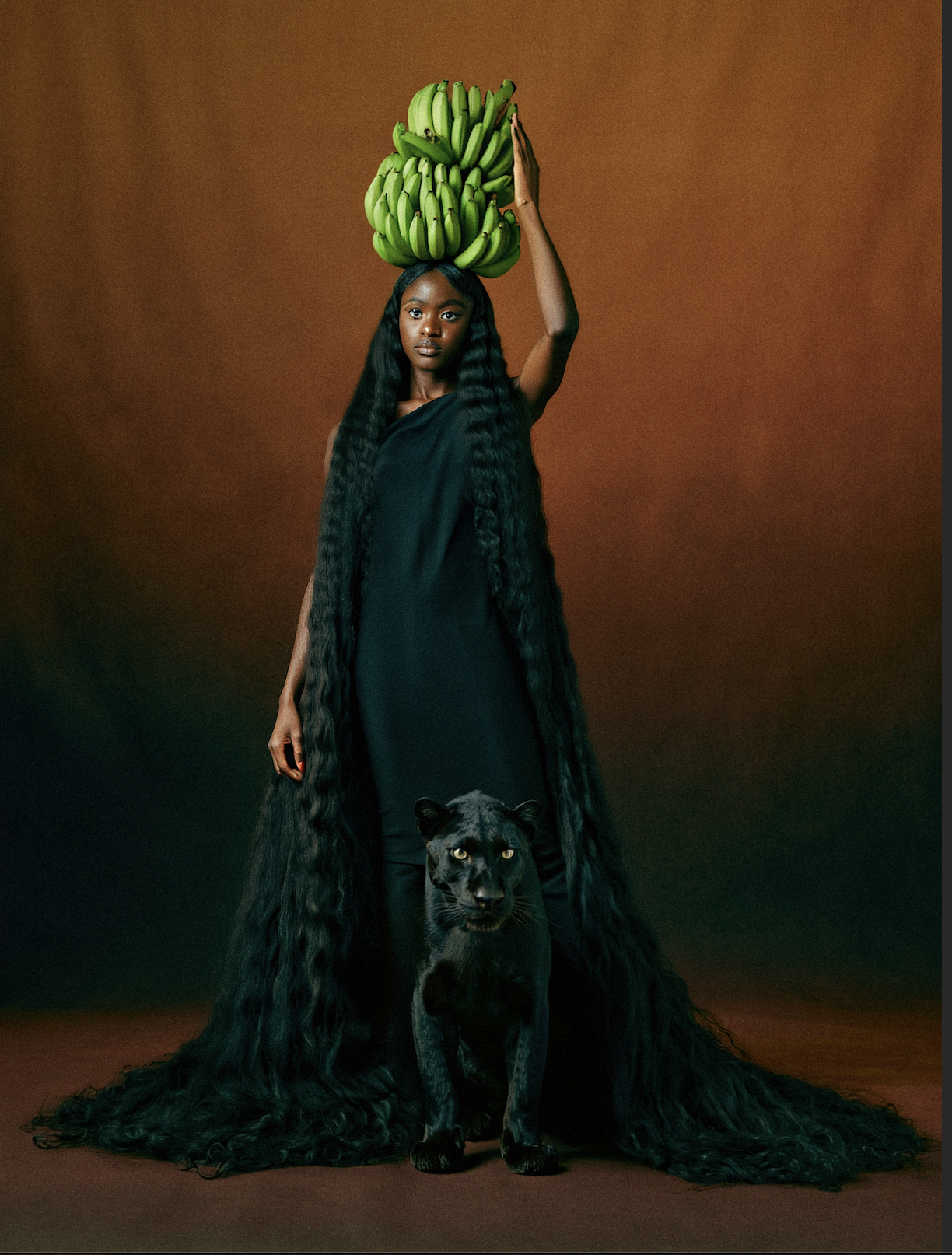 Panther & the Harvest - Sudan