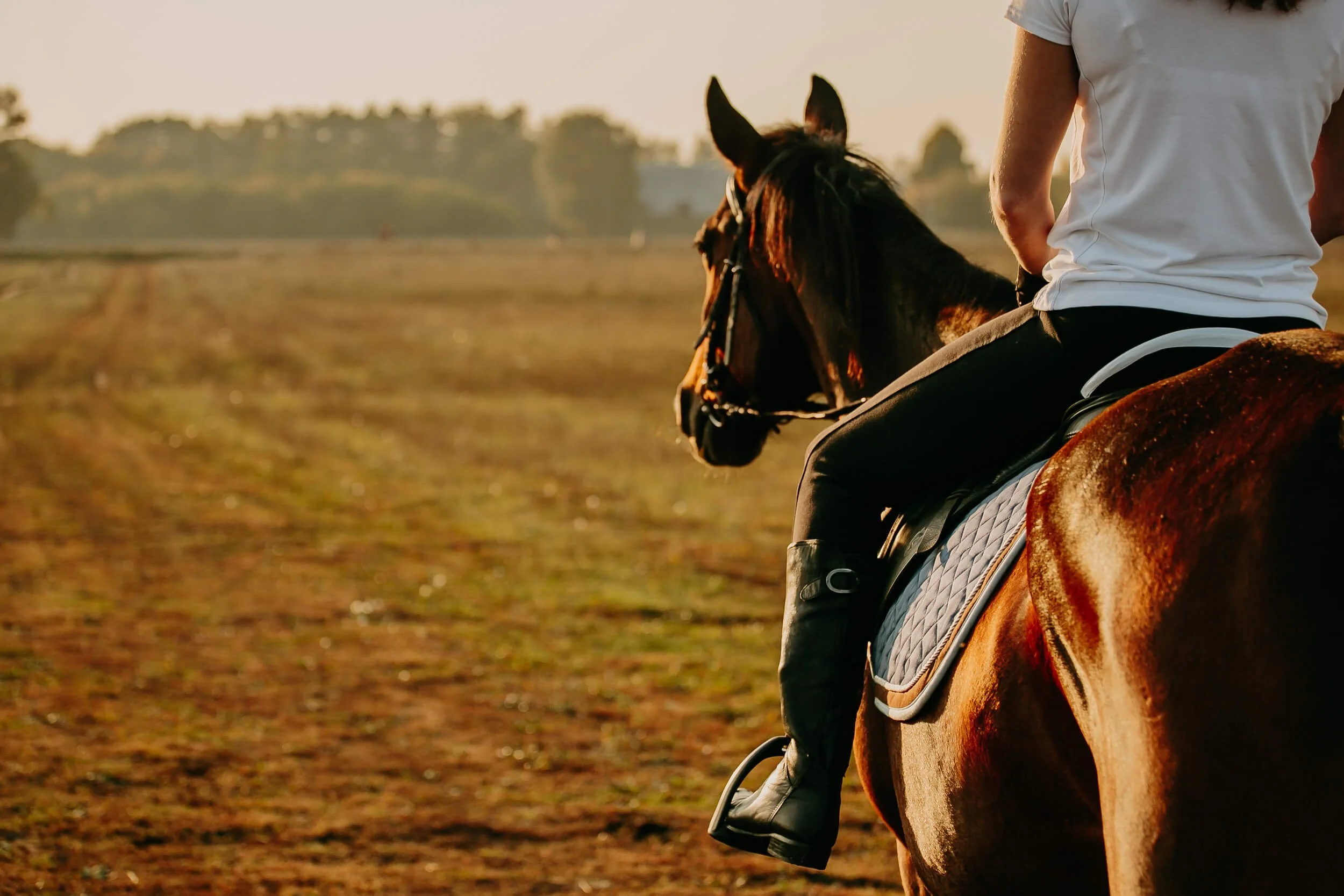 Tennessee Dude and Guest Ranch — Dunlap Mercantile