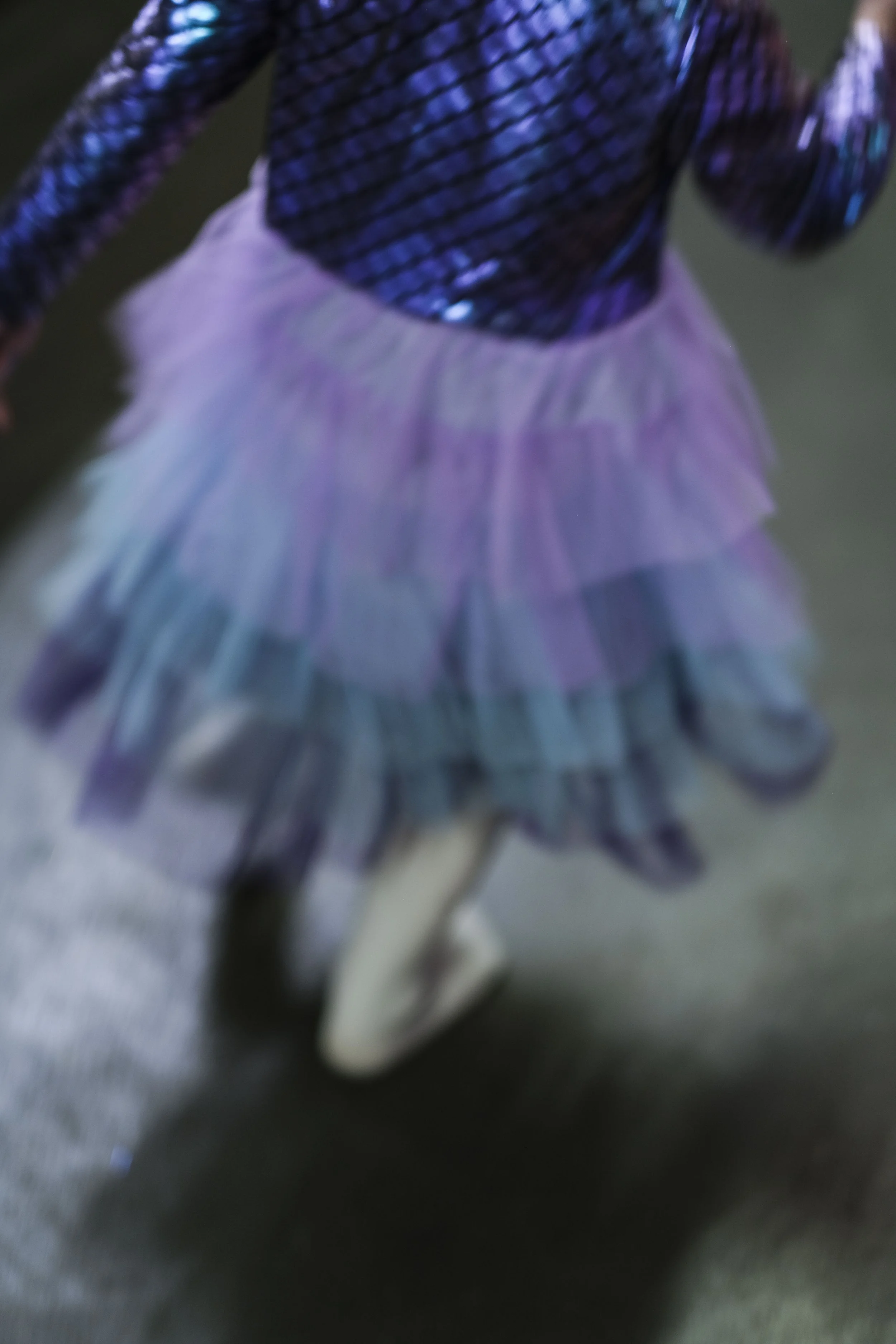 DSCF1652.jpg