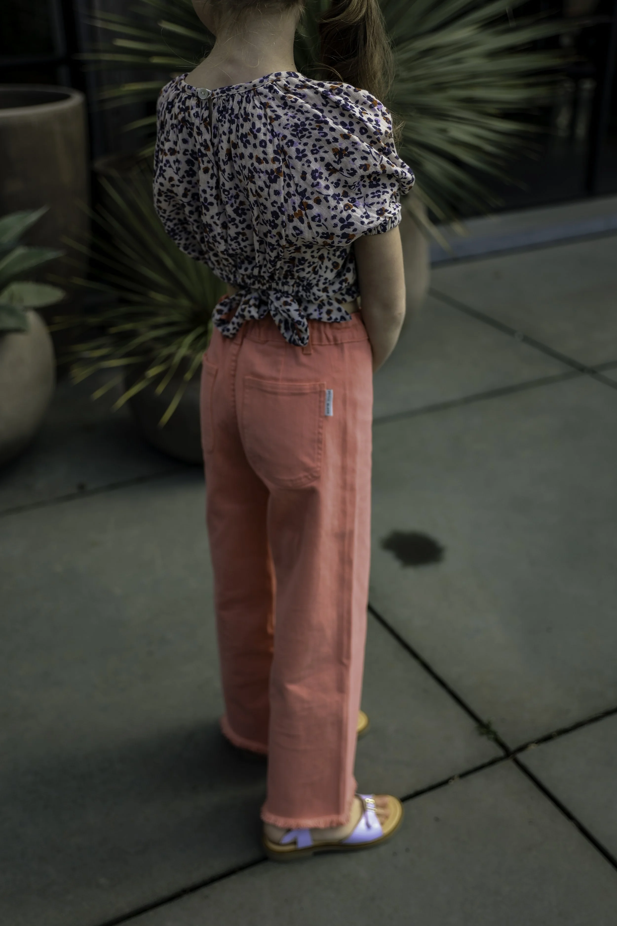 0T0B8429.jpg