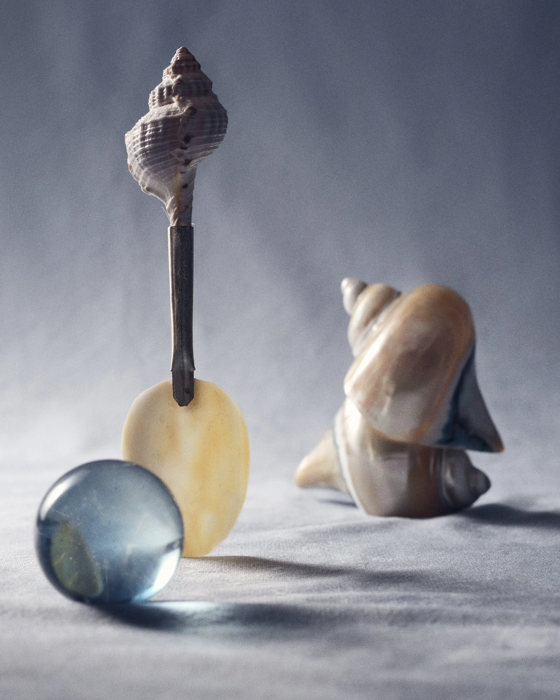 25-10 3365-09A MXP_ARC 007_100925_0427.JPG