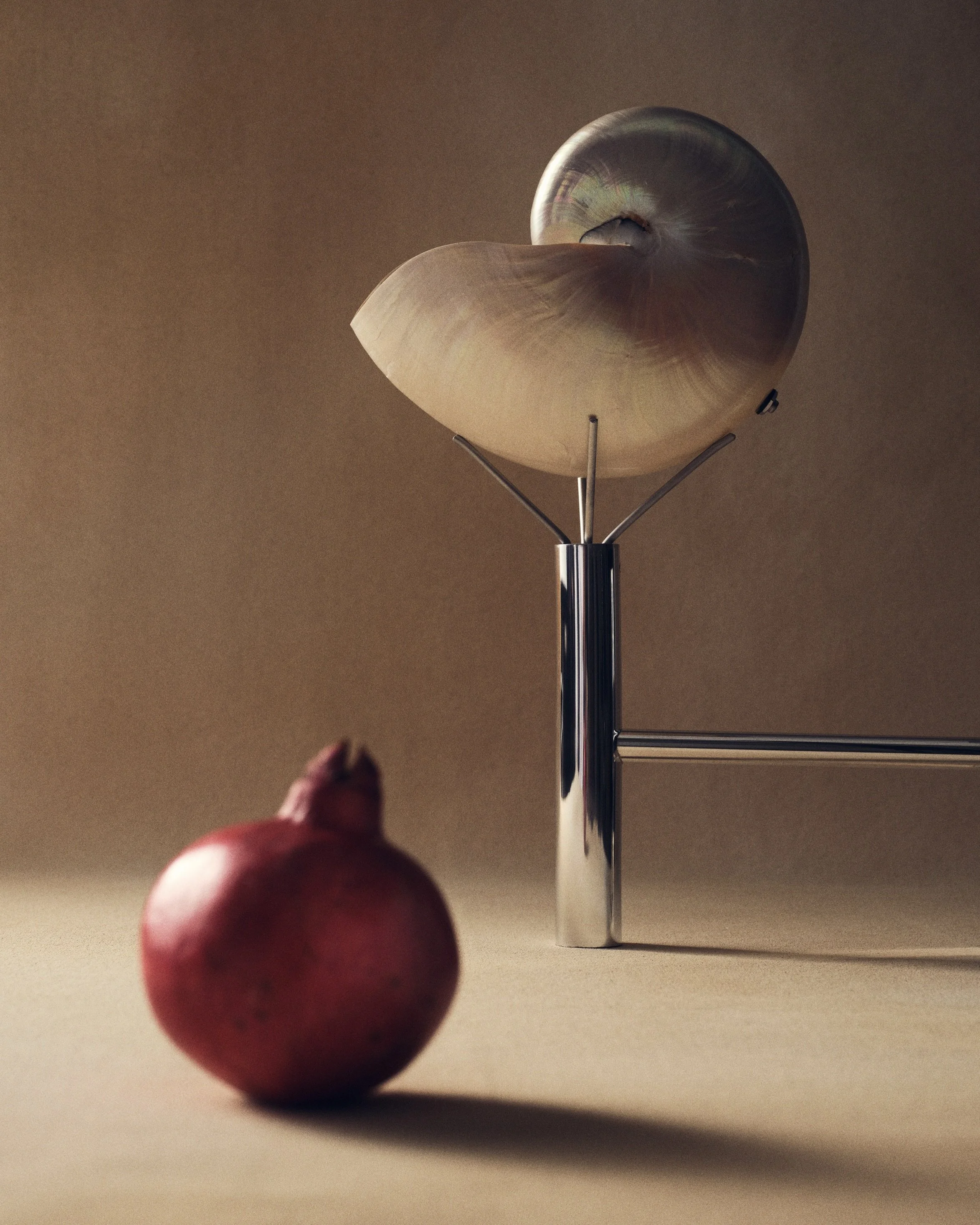 25-10 3365-07A MXP_ARC 005_100925_0335.JPG