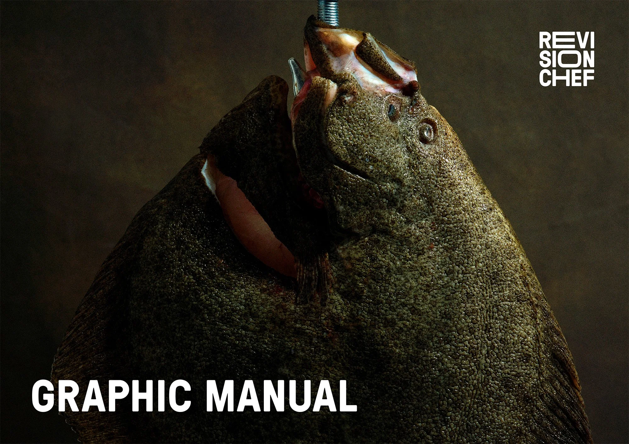 Graphic-manual.jpg