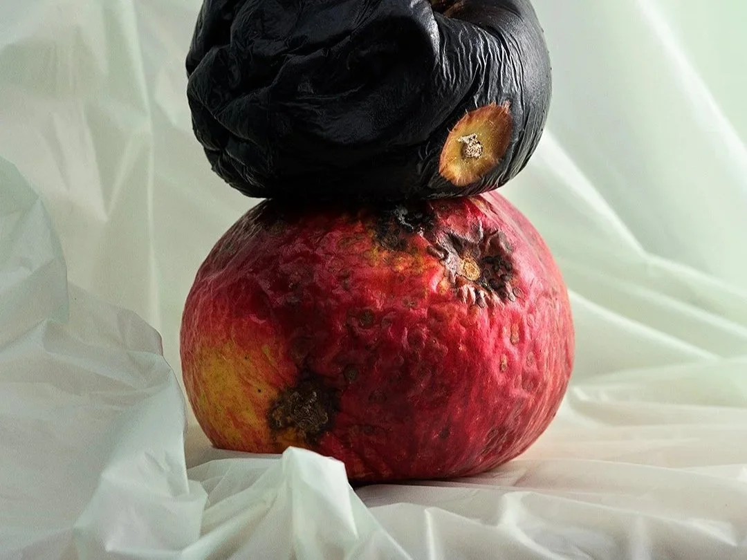 CASE: Natura Biomat branding