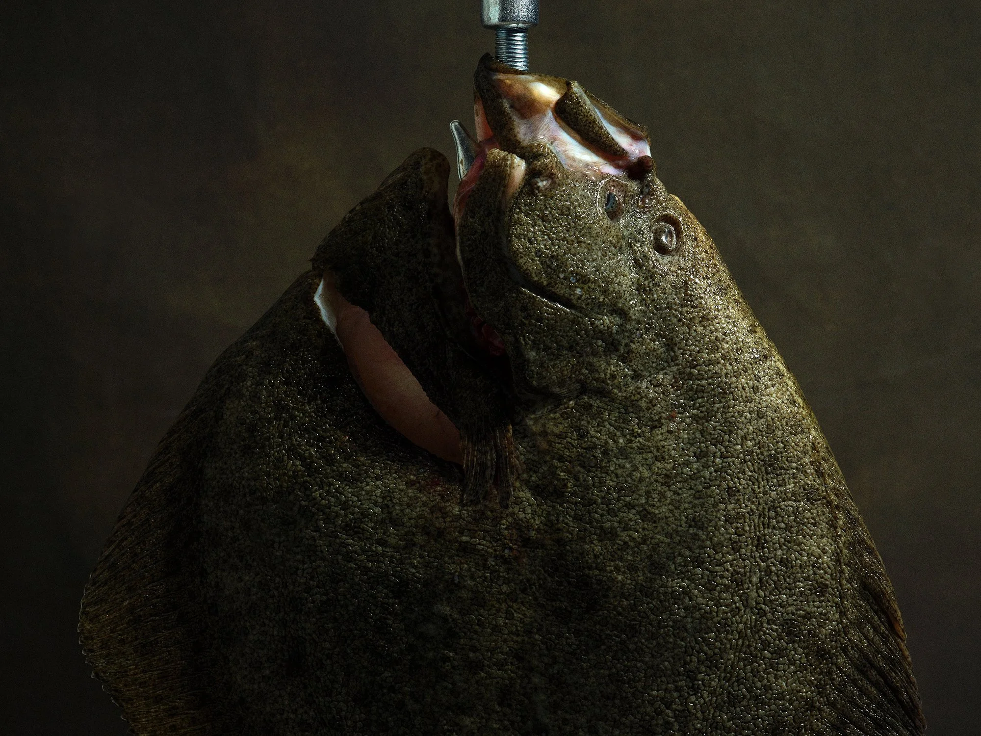 Jouni Toivanen, Revision Chef, Food photography, ruokakuvaus, ruokakuvaaja, helsinki