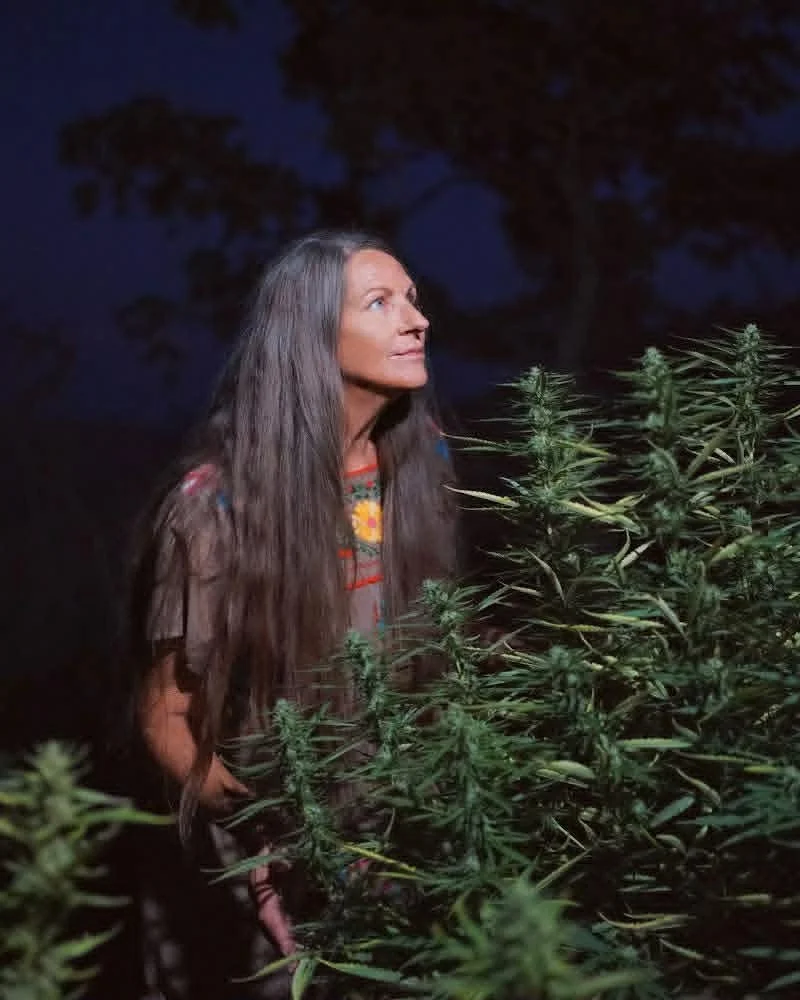 by Lucinda Ochoa at a farm in the high sierras of California   The farm is Rancheria Familia Women-owned, Sue Carlton