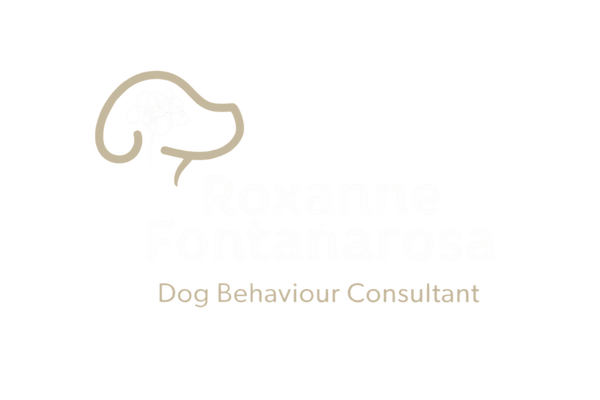 Senior Dog Roxanne Roxanne Fontanarosa Dog Trainer Oldham and Dog Behaviourist Oldham ...