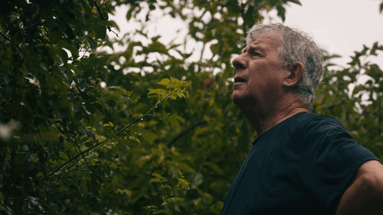 GROWING // DOCUMENTARY