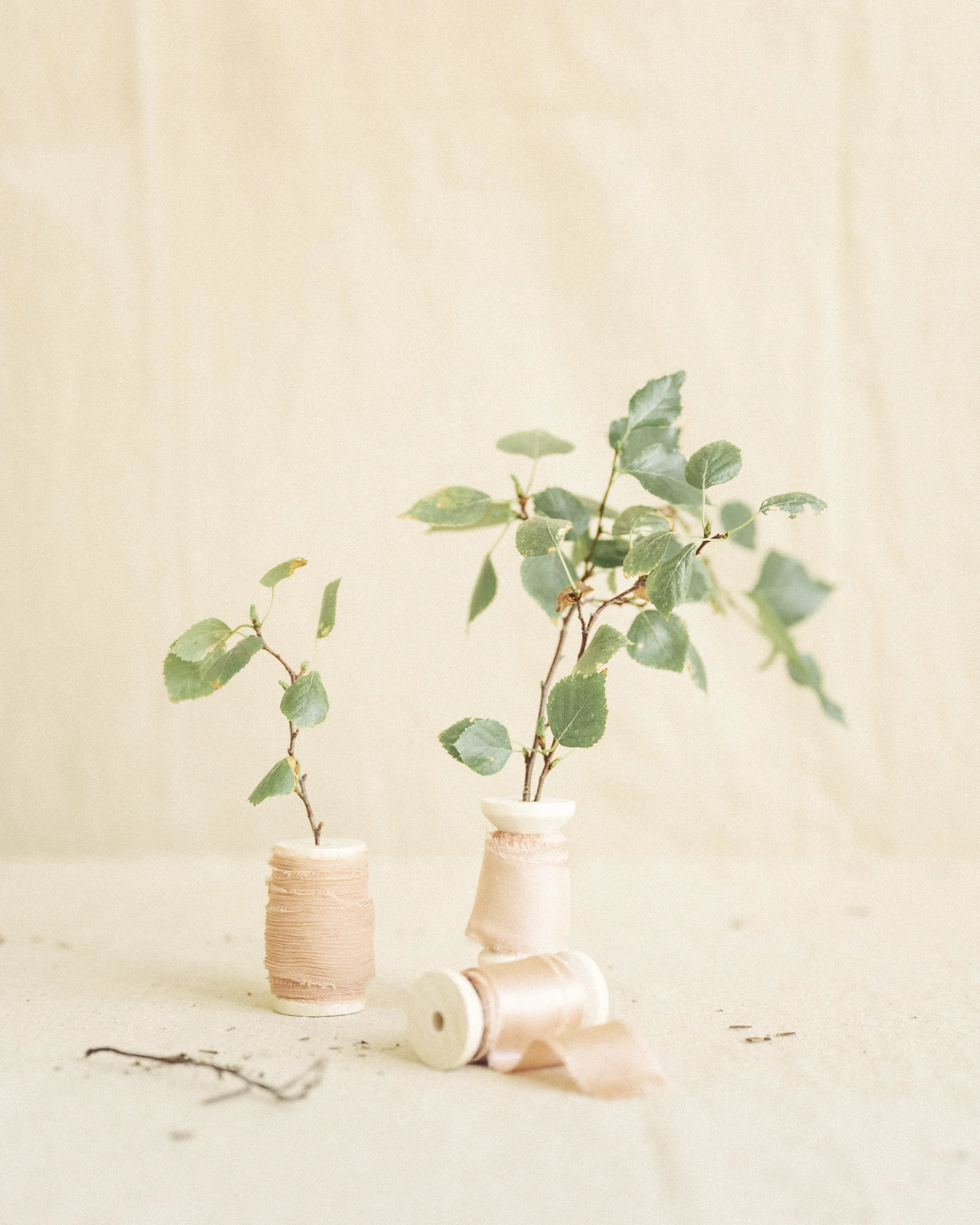SILK RIBBON · BIRCH BARK · LIGHT PINK