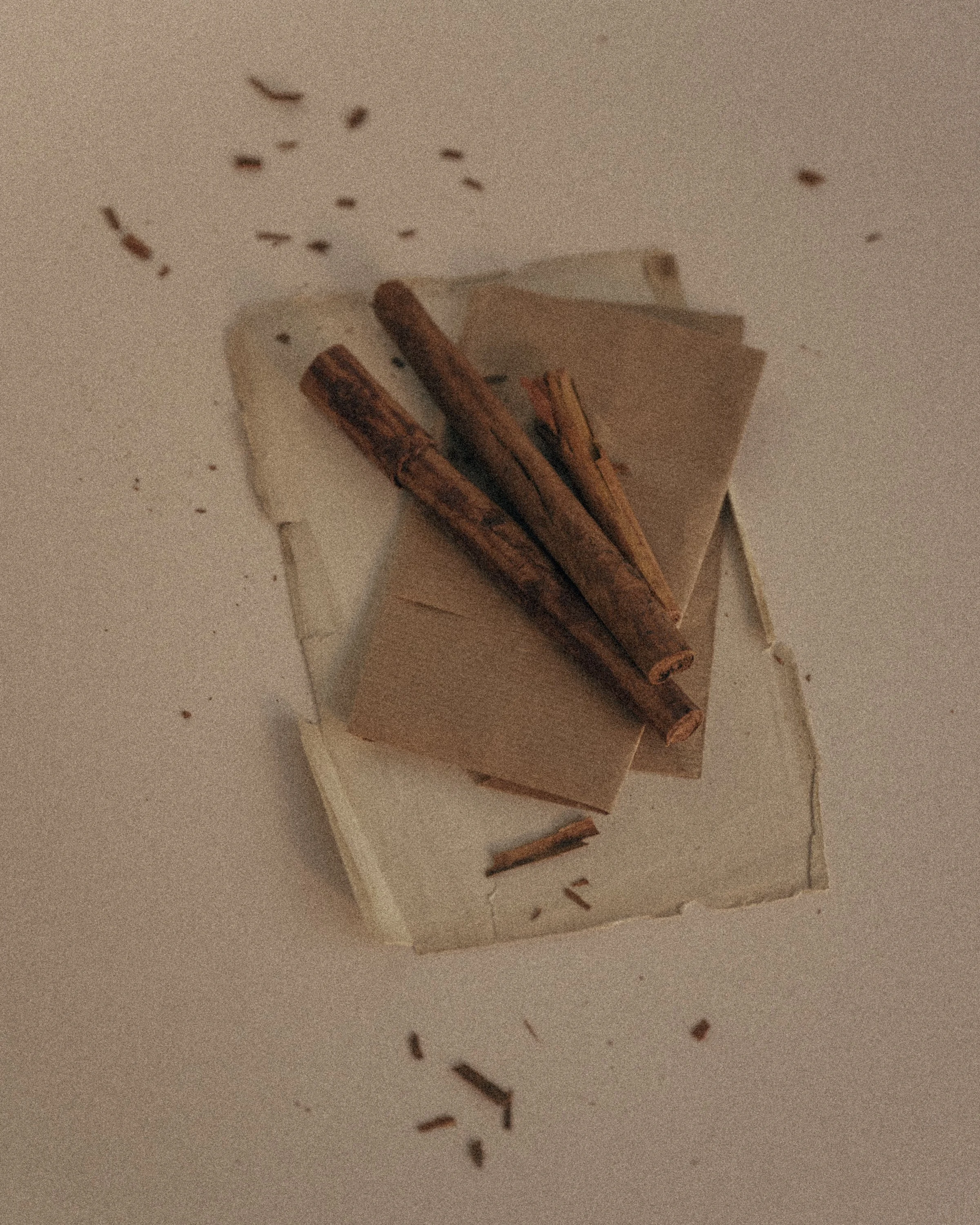 Cinnamon sticks on a small stack of old, torn papers, with fine flakes of bark scattered around them.