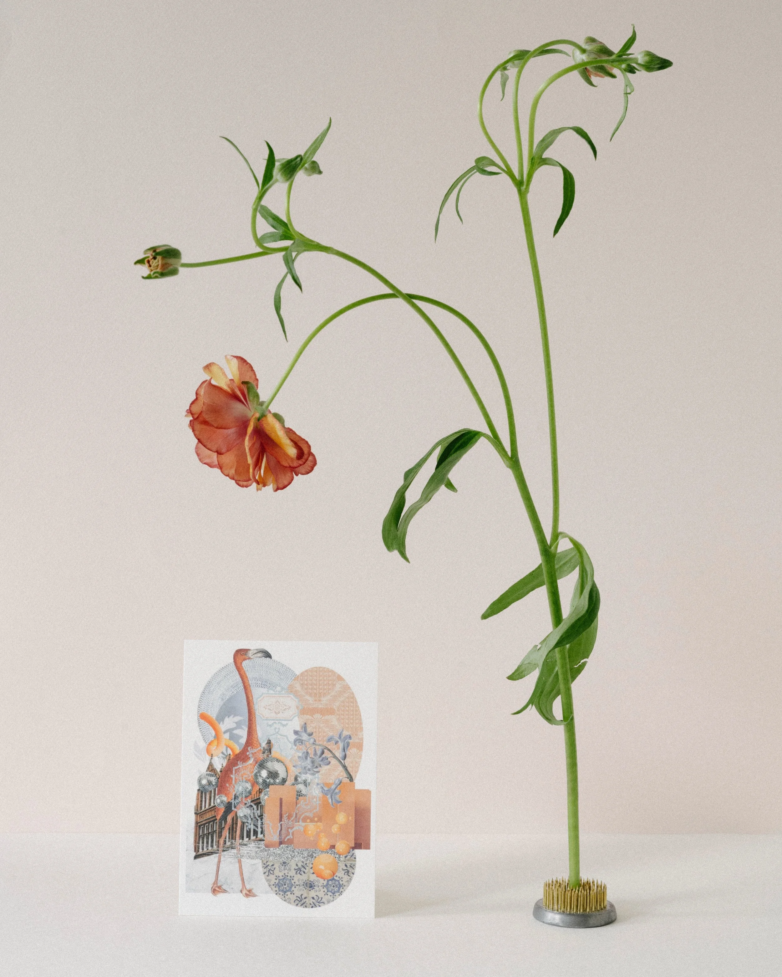 Postcards have a quiet power.

They may look small, but they don&rsquo;t feel small.

With postcards, the point isn&rsquo;t to say everything, but to say one true thing with care.

We&rsquo;ve been thinking about how beautiful it is to keep them, ins