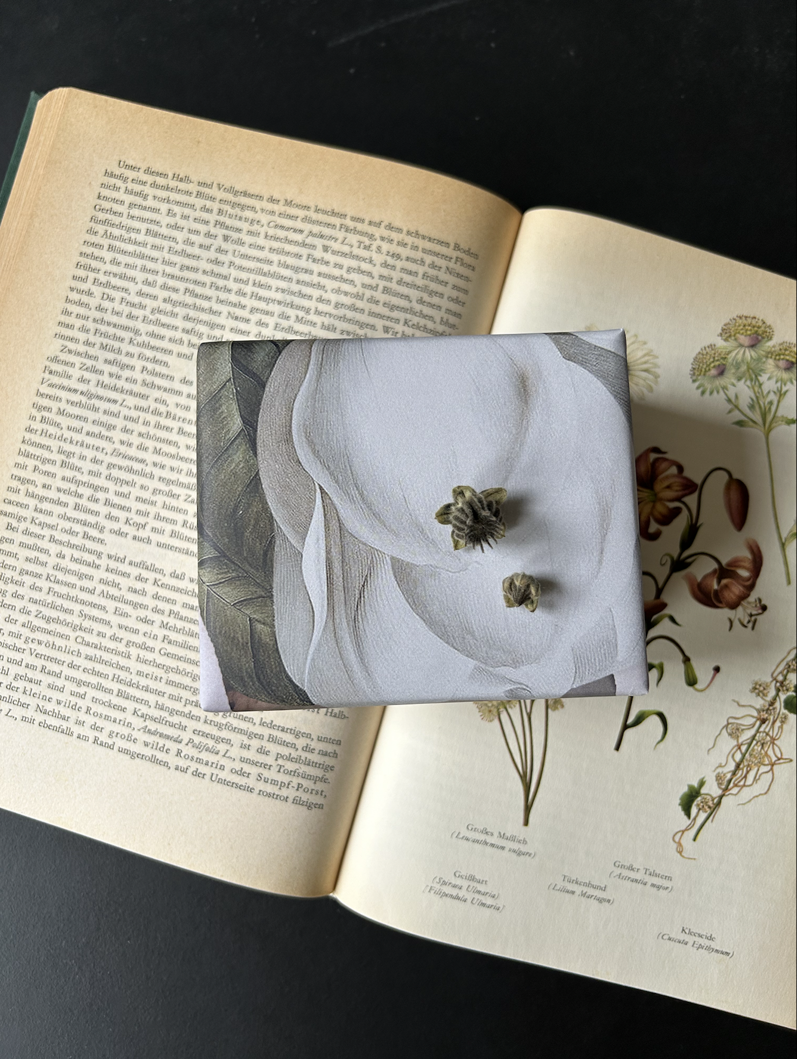 ManuelaMenziStudio_Christmas_Inspiration_2025_4.png