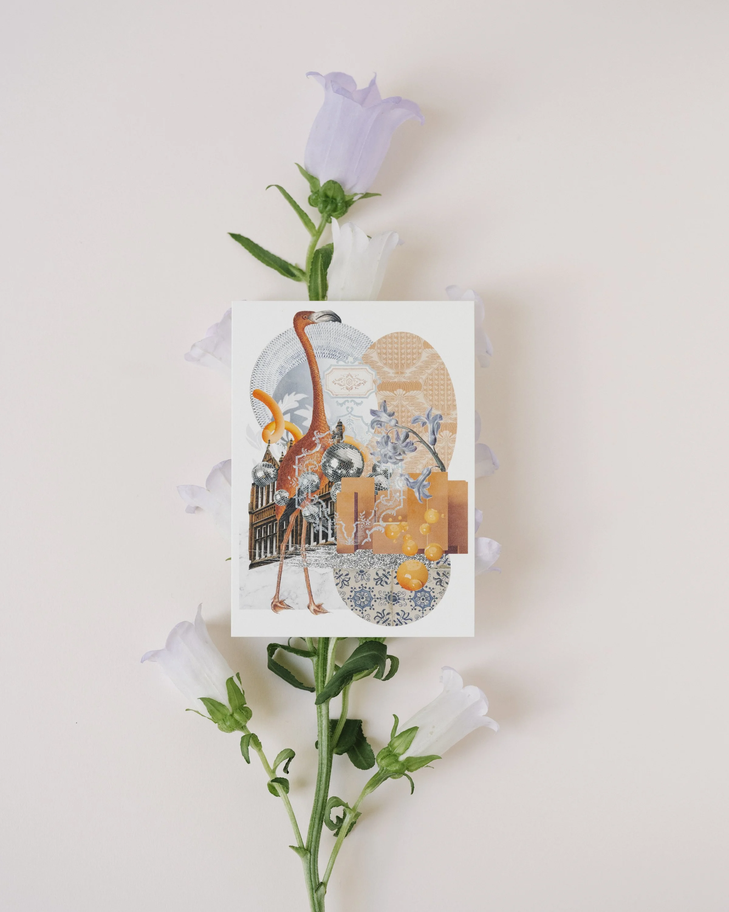 ManuelaMenziStudio_Postcard_BlushofFeathers_1.jpg
