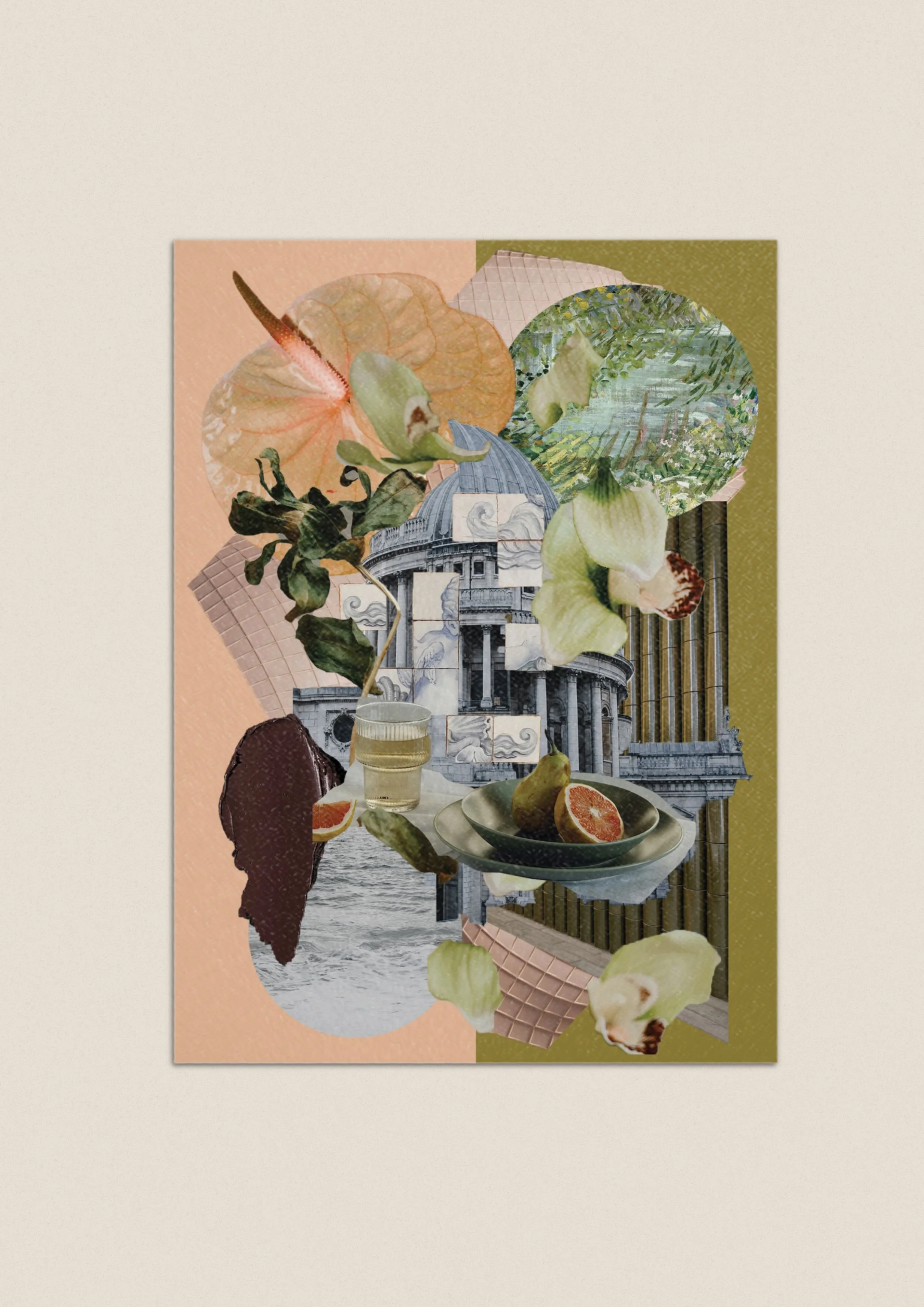 ManuelaMenziStudio_Postcard_TheGeometryofOrchids.jpg