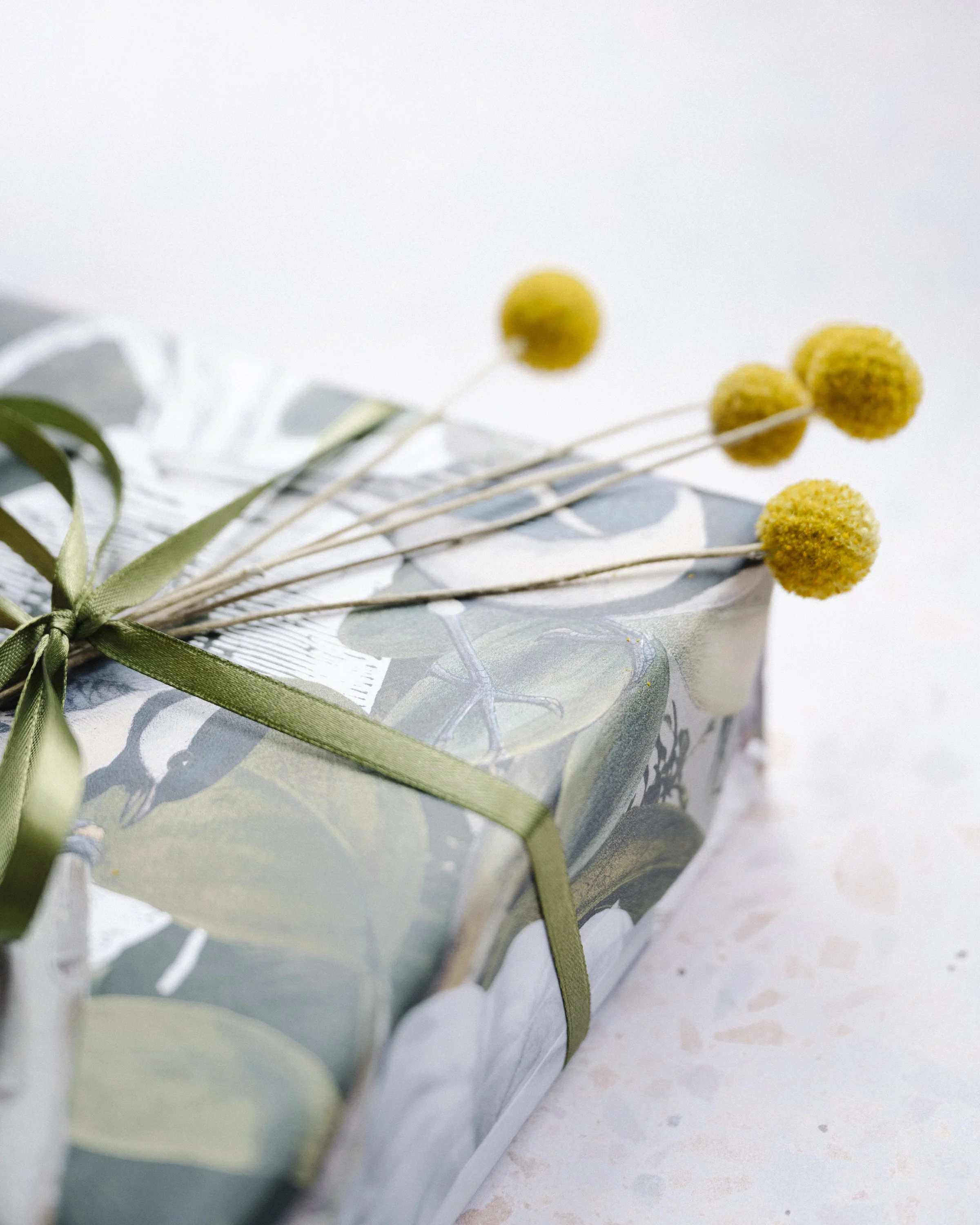 mothers-day-gift, mothers-day, mothers-day-gift-presentation