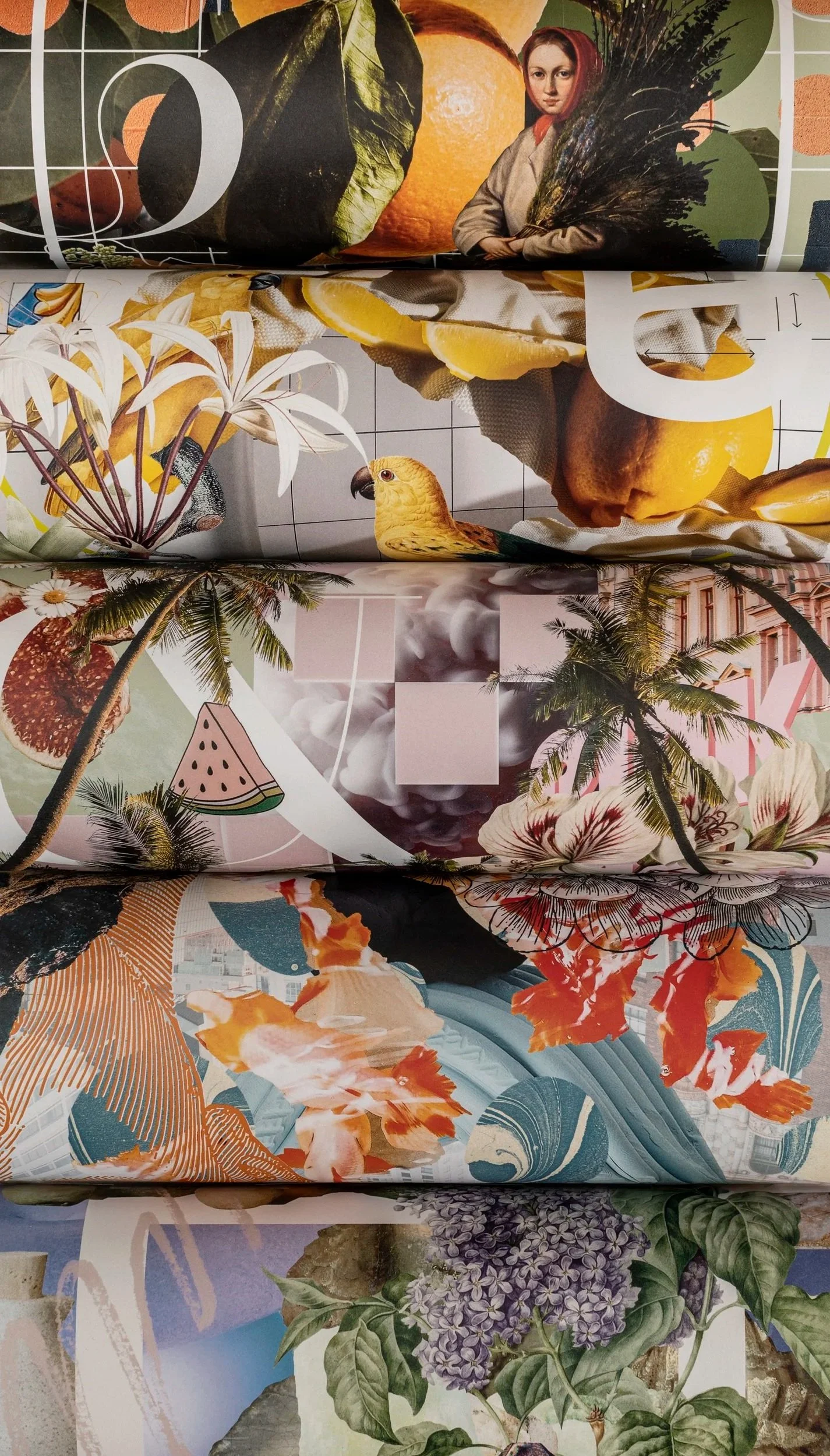 rolled-wrapping-paper-colourful-bird.jpg