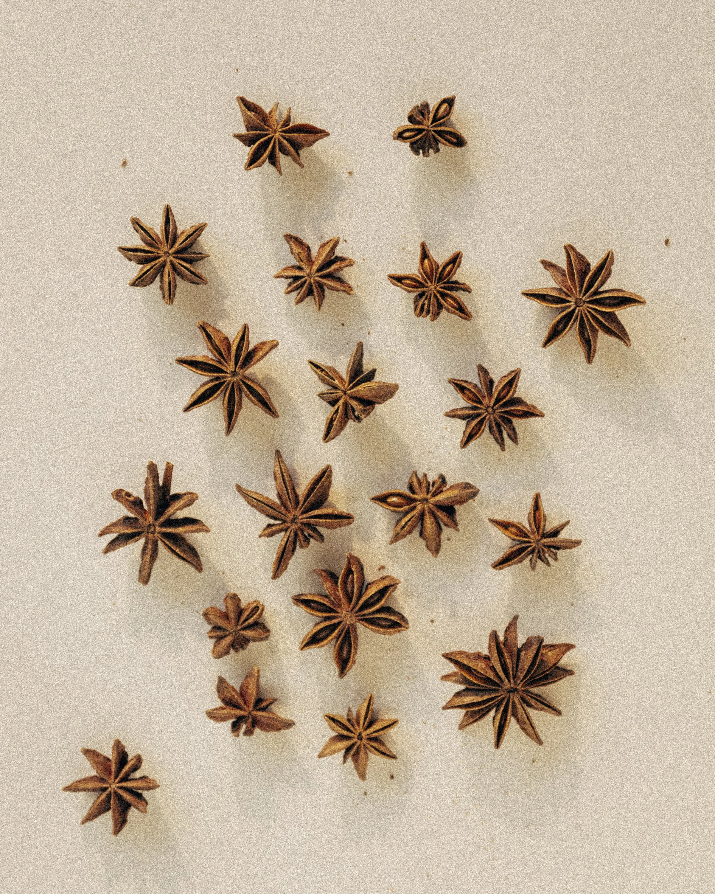 Star anise pods scattered across cream coloured paper, seen from above.