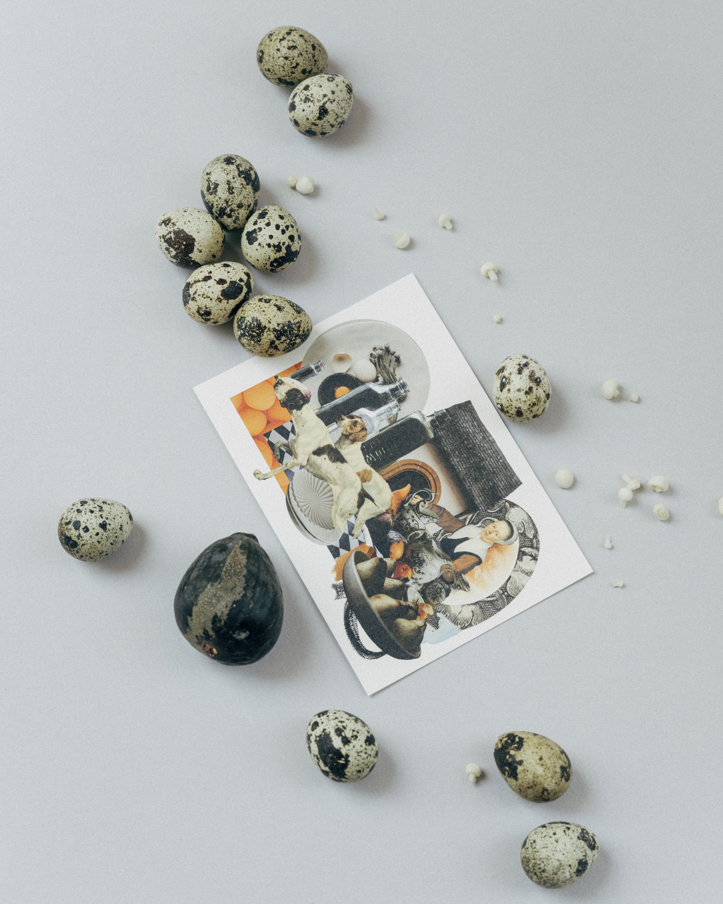 Manuela_Menzi_Studio_Laelaps_Still_Life_03.jpg