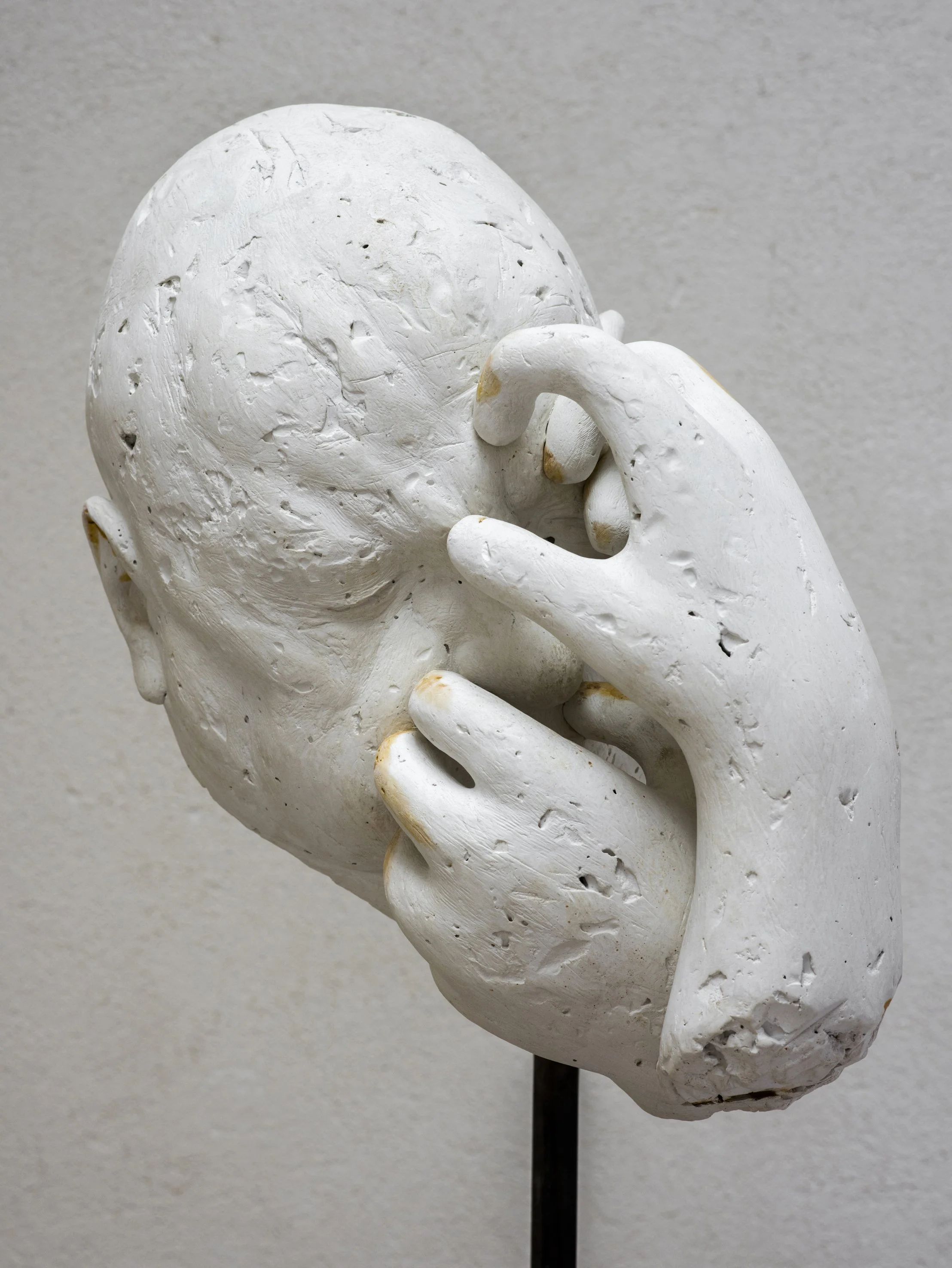 Crux Cordis I, 2025, plaster