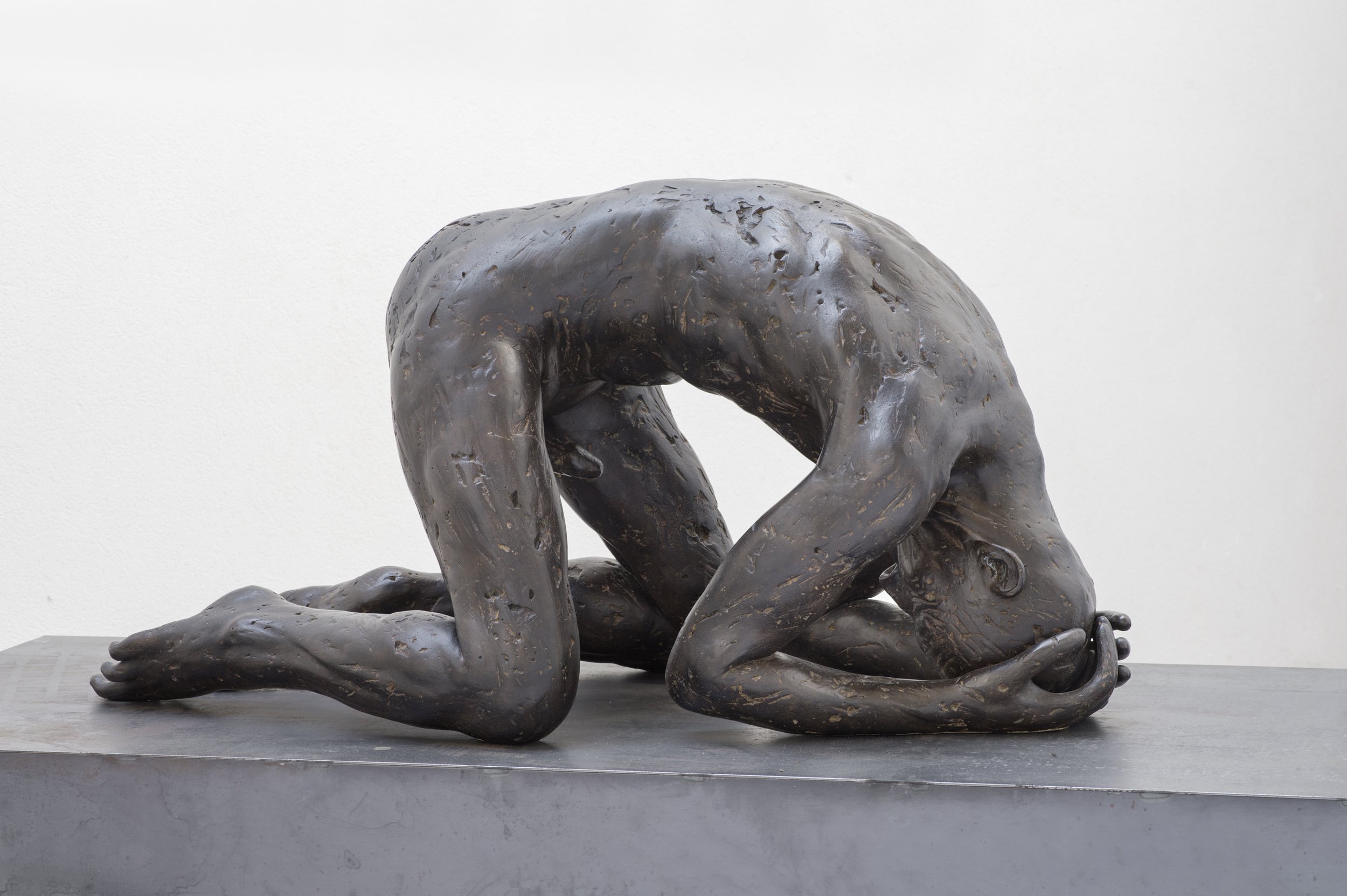 Elogio dell’ombra