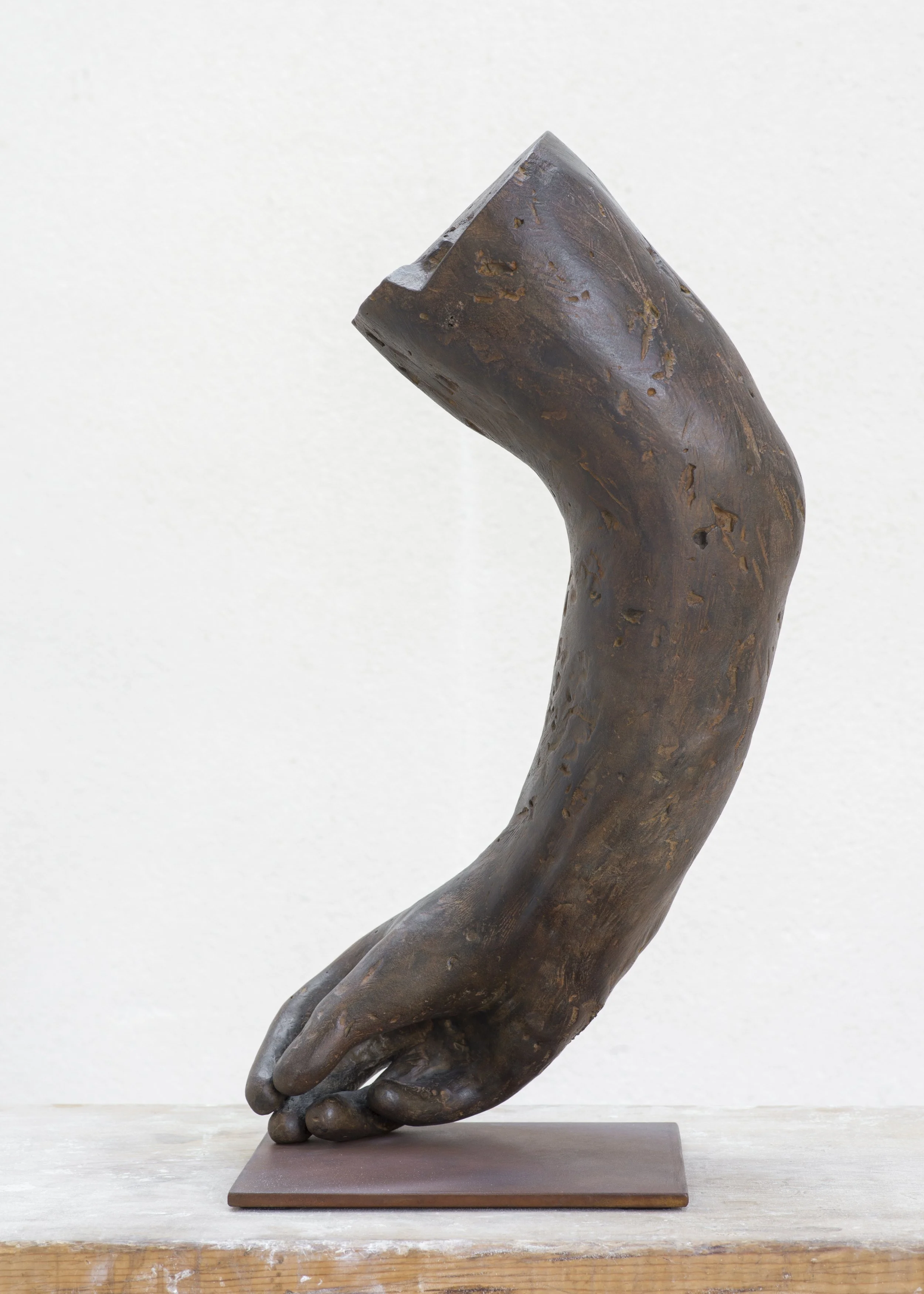 Modello Braccio, 2023, bronze