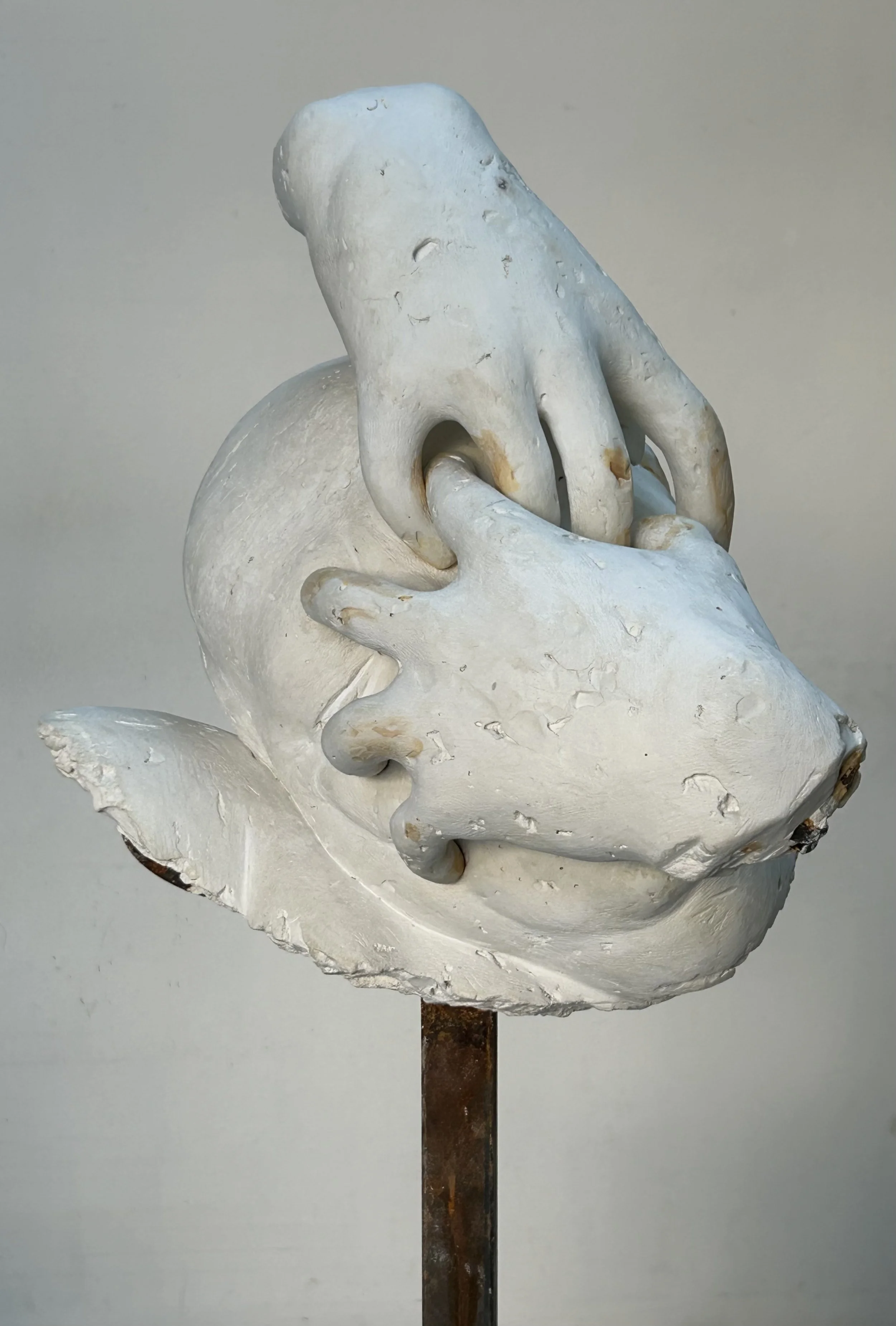 Quod Ergo, 2026, plaster