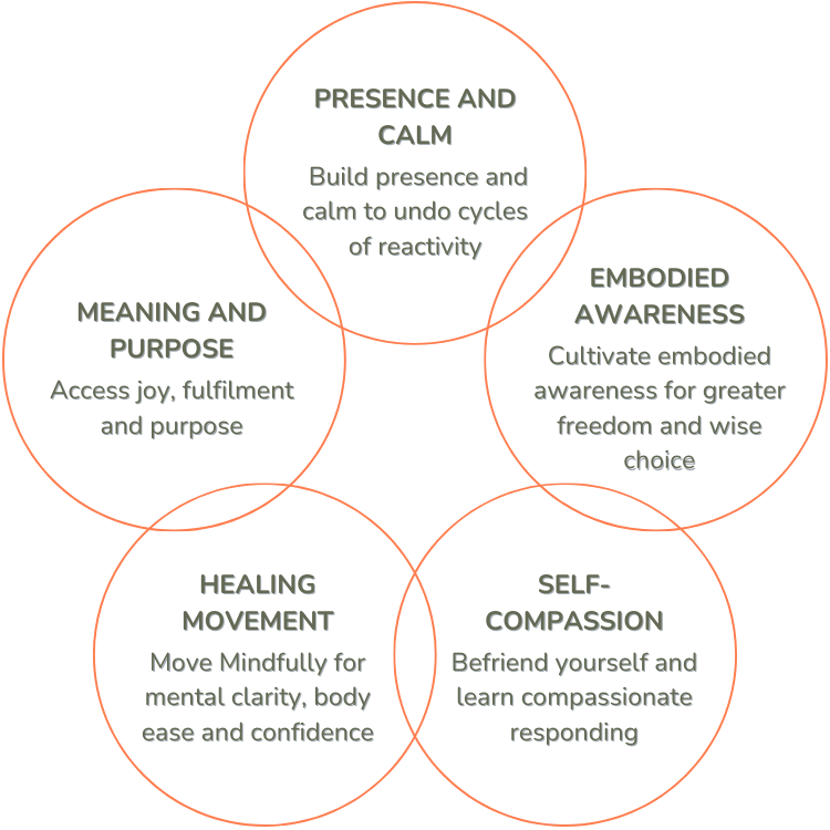 Soft Strength Key Pillars interlocking circles diagram - Presence and calm; Embodied awareness; Self-compassion; Healing Movement; Meaning and purpose