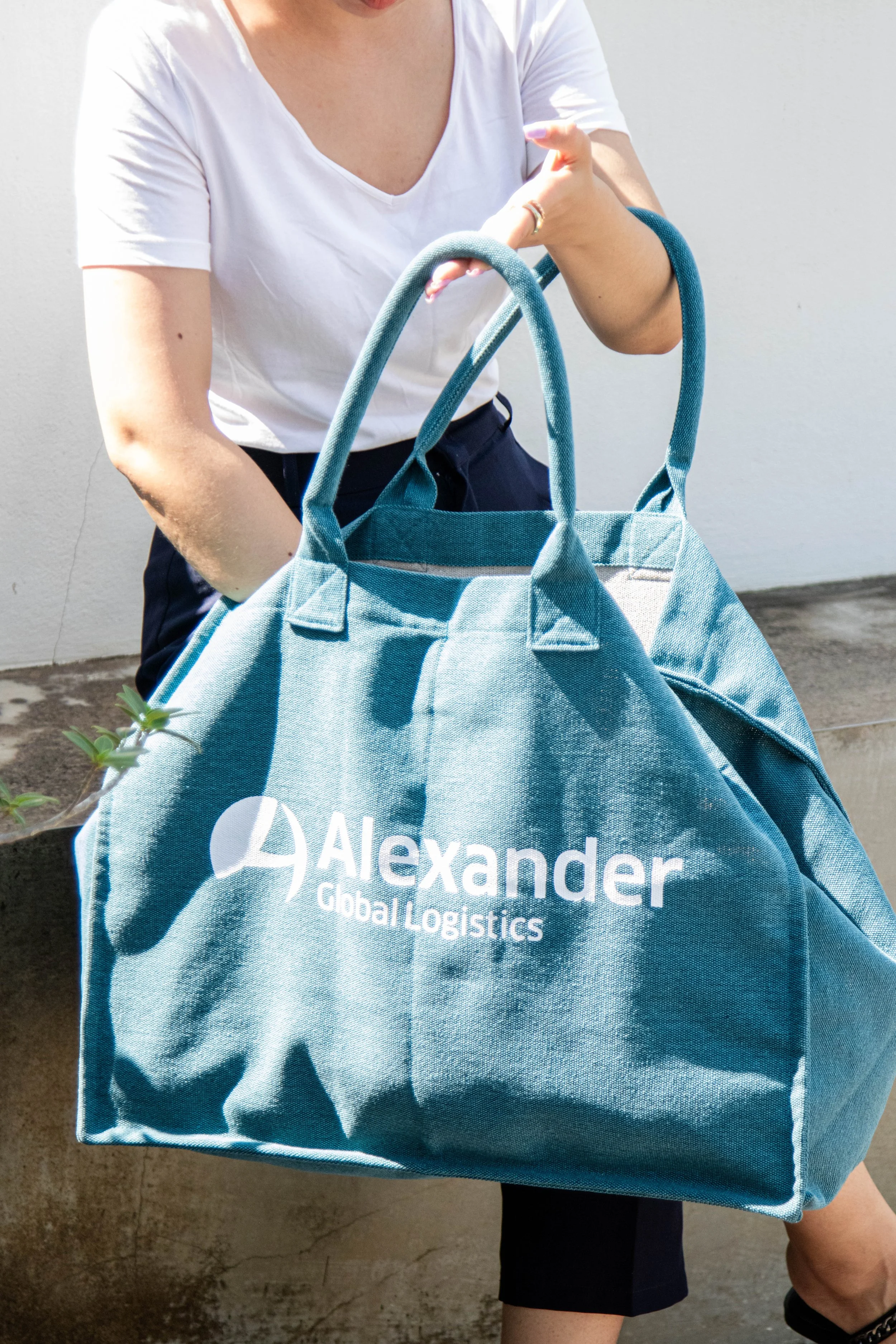 Alexander Global Logistics