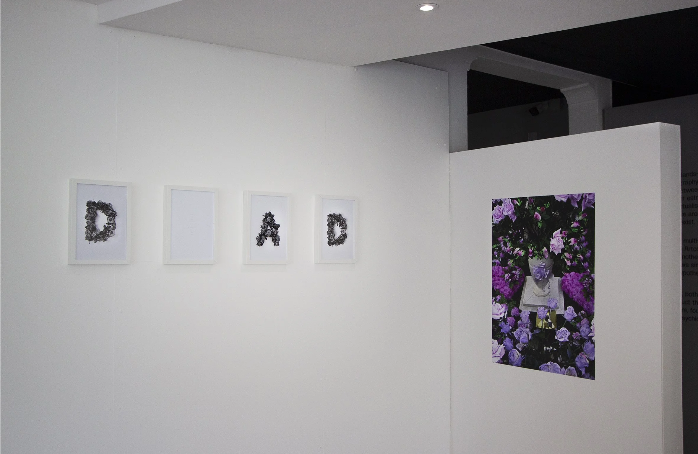 Artcore install 3.jpg