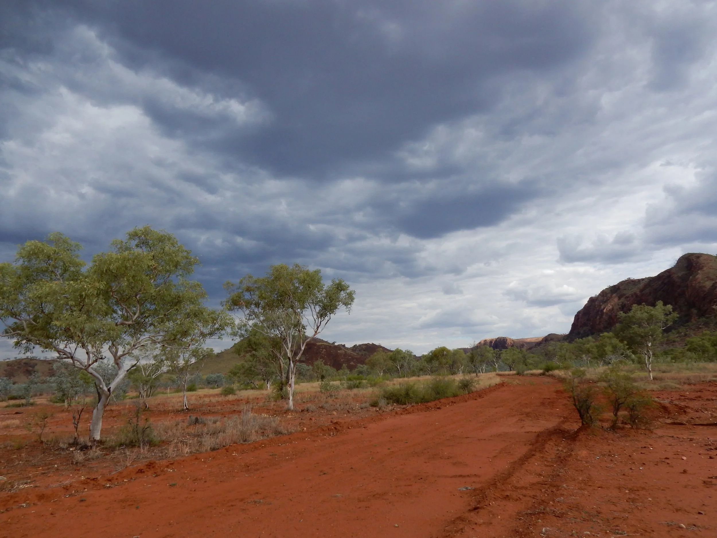 DSCN4400.JPG