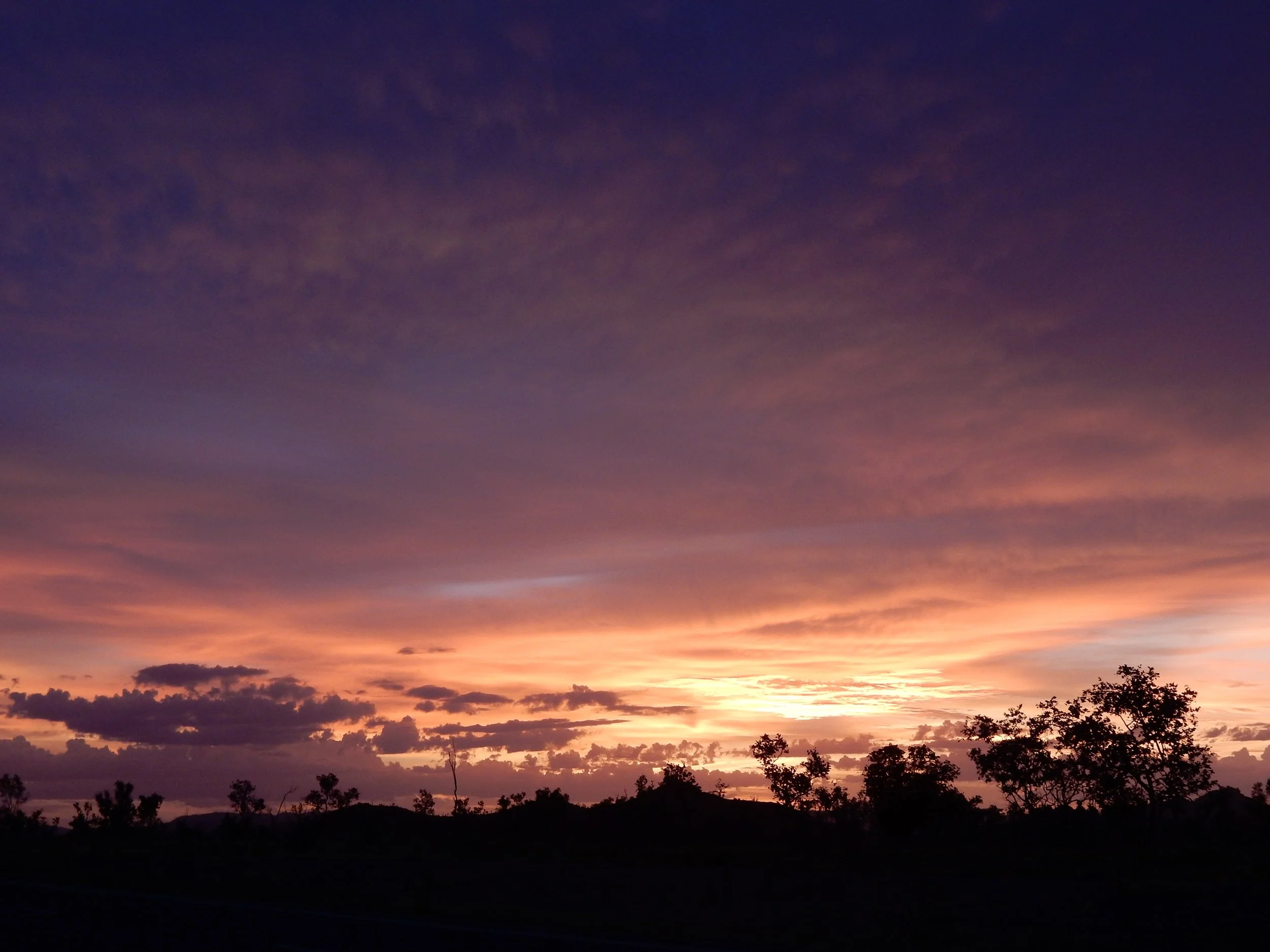 DSCN5708.JPG