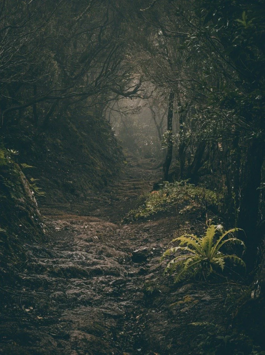 Tenerife gave me time to feel, reflect, and gently realign.

That space led me back to Portugal, a place that always feels like home.
Excited for what&rsquo;s coming and deeply grateful for the journey.

#slowdown #gratefulheart #newchapter #comingho