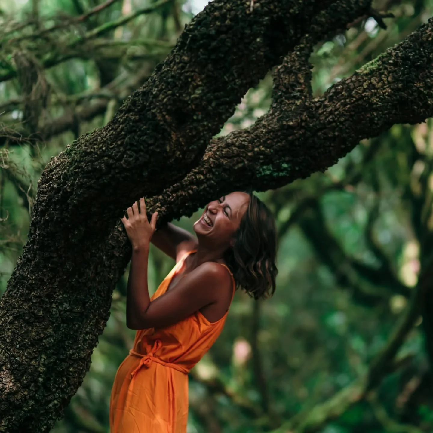Somewhere between roots and sky, everything feels light again. 

I&rsquo;ve never felt this much peace before.
After moving across the world, there is suddenly this longing for stillness.

Not stillness as in doing nothing, 
but as a quiet, grounded 