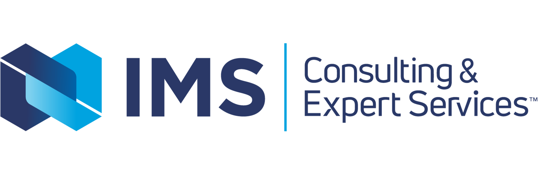 IMS Consulting & Expert Services logo
