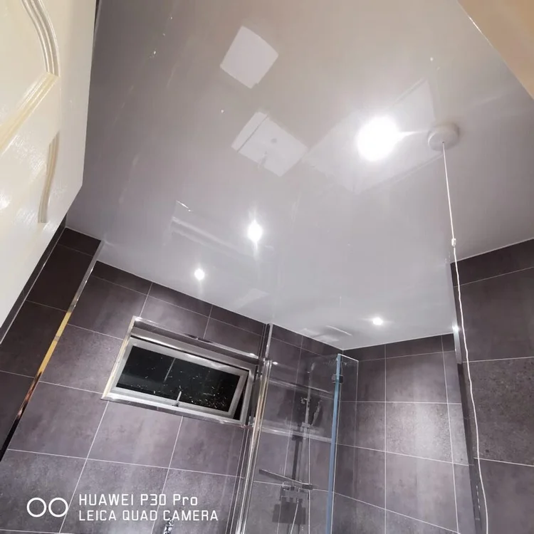 Wall-panelled bathroom installation, photograph 233