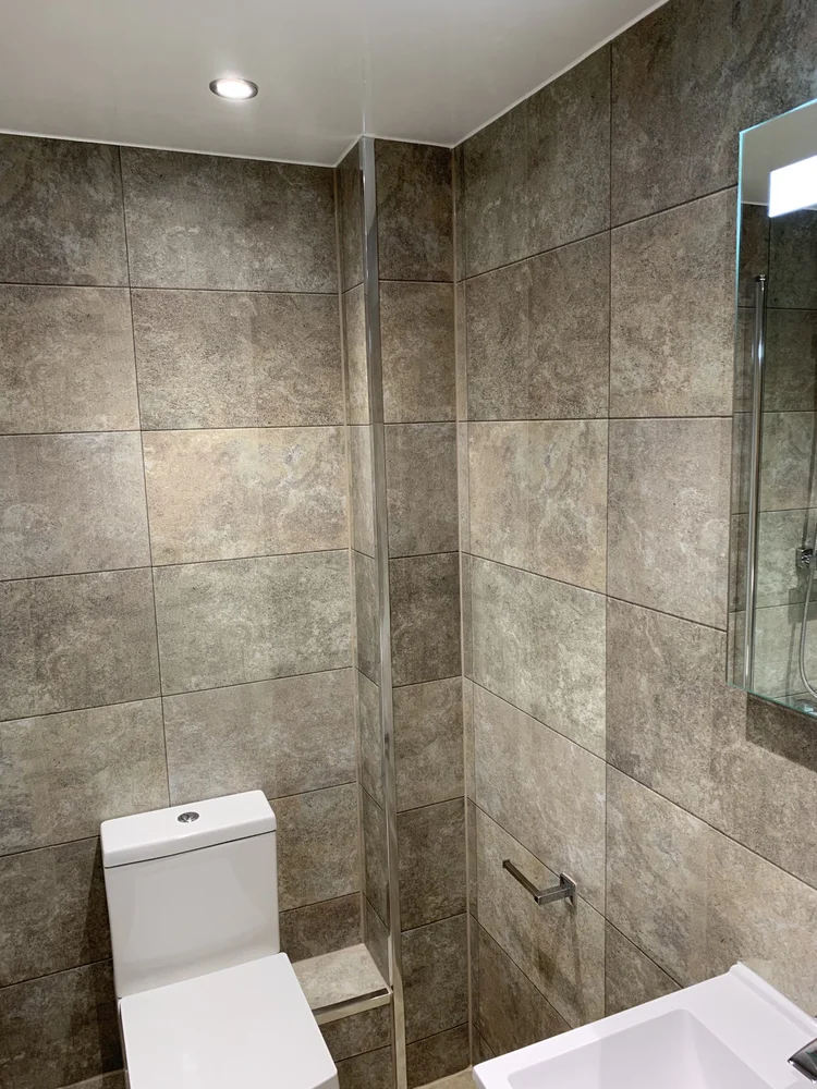 Wall-panelled bathroom installation, photograph 310