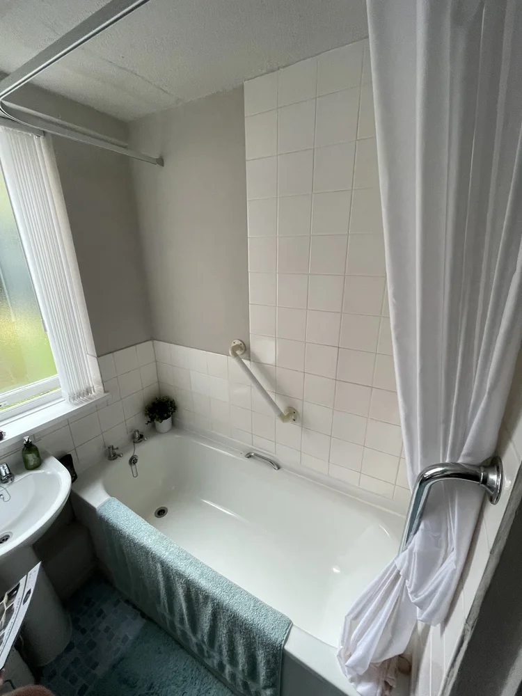 Before renovation, bath-to-shower project 108